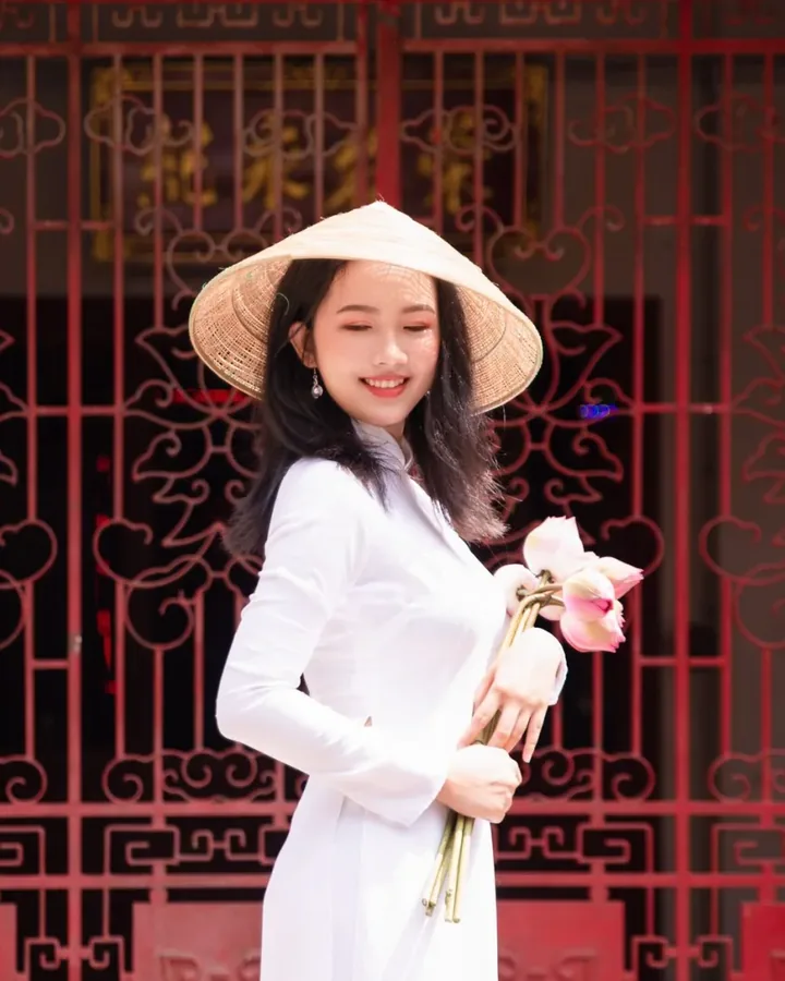 Dự án gần đây